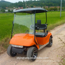 cheap gas golf cart with two seats and may colors